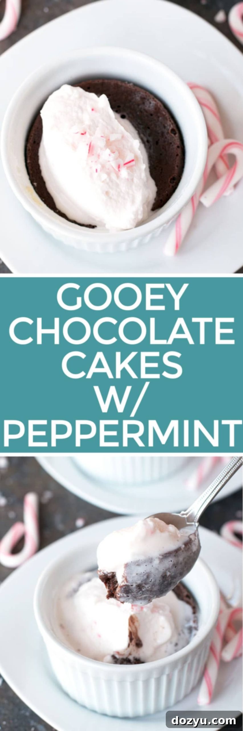 Gooey Dark Chocolate Cakes with Peppermint Crunch Whipped Cream | cakenknife.com