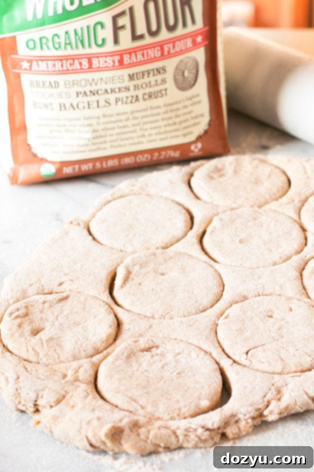 Close-up of freshly baked Green Chile Cheddar Whole Wheat Biscuits