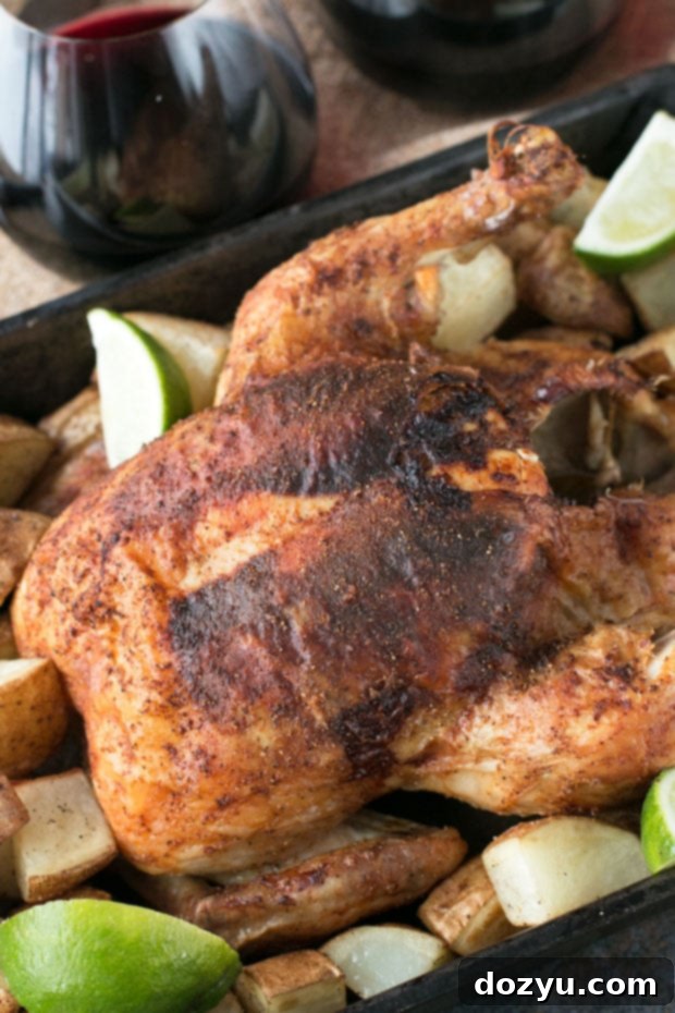 Berbere Roasted Chicken | cakenknife.com
