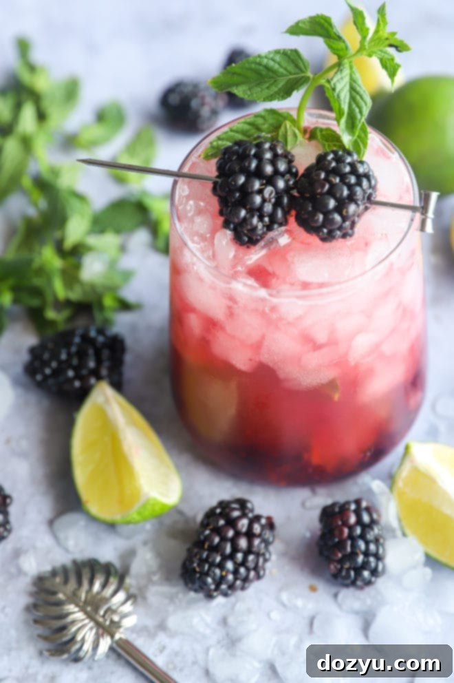 Blackberry Mojito 2 Blackberry cocktail with mint and fresh fruit