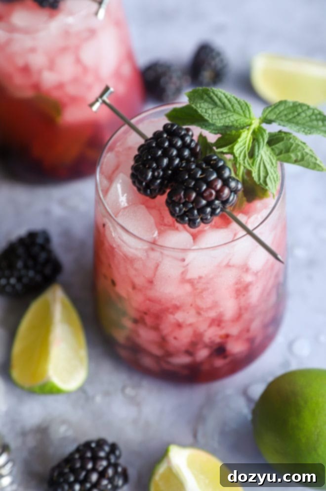 Blackberry Mojito 10 Blackberry Mojito with a mint garnish on a patio setting