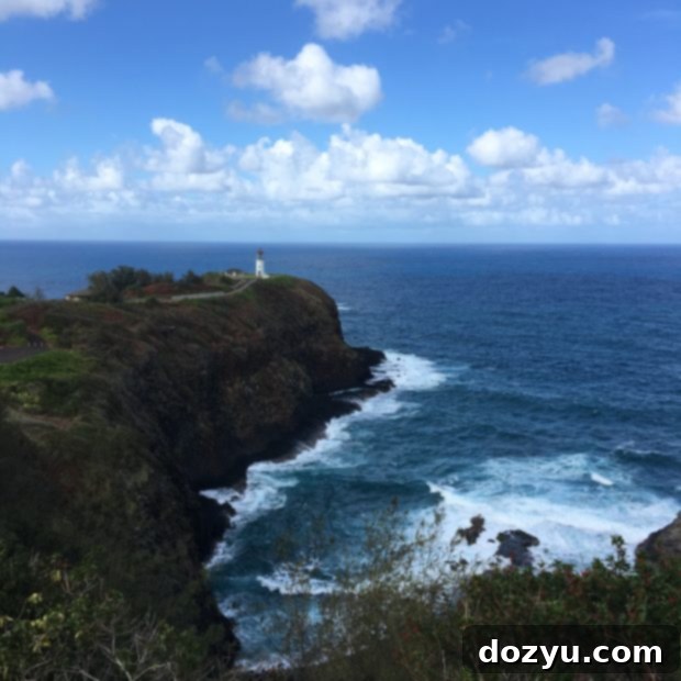 A panoramic view of the Kilauea Lighthouse and Wildlife Refuge in Kauai, with the historic lighthouse overlooking the dramatic ocean cliffs. Keywords: Kilauea Lighthouse Kauai, Kauai scenic view, wildlife refuge, North Shore attractions.