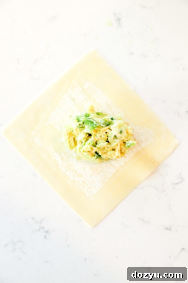 wonton wrapper with filling picture