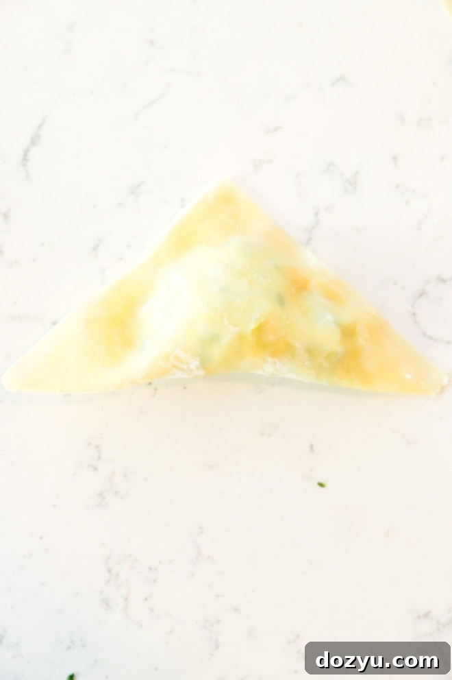 Picture of a folded wonton