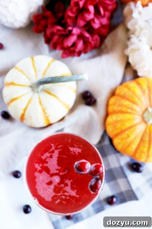 Effortless Autumn Fizz 3 Picture of one cranberry cocktail garnished with cranberries and small pumpkins, symbolizing autumn and Thanksgiving.