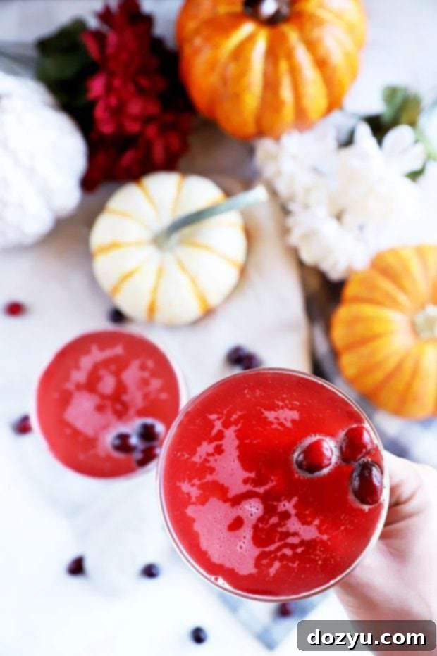 Effortless Autumn Fizz 4 Hand holding an elegant Thanksgiving cocktail garnished with fresh cranberries, against a warm, festive background.