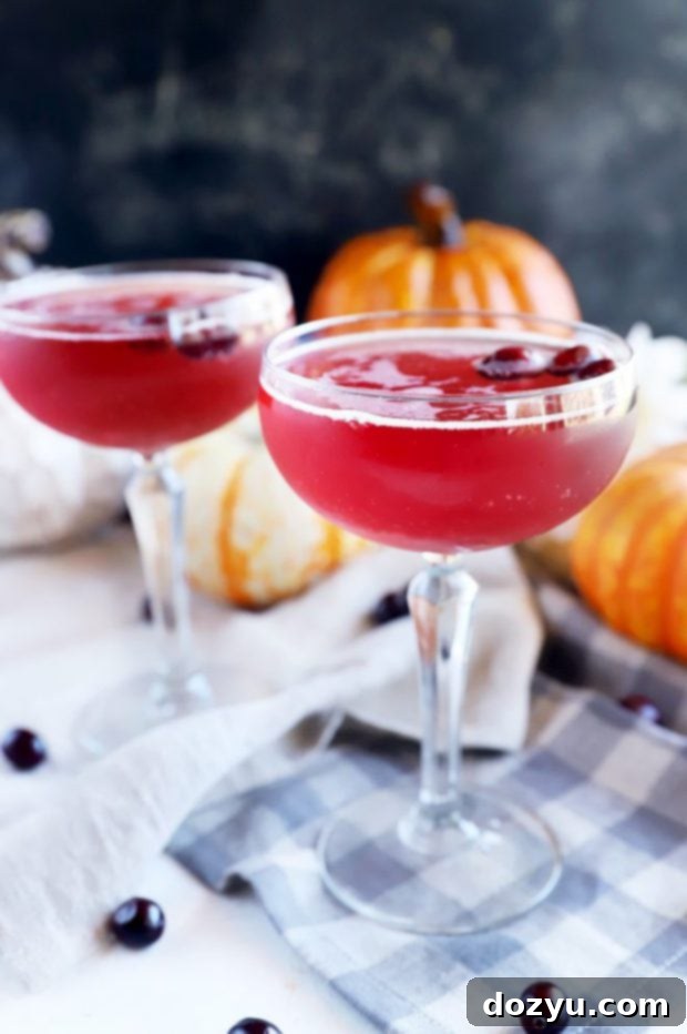 Effortless Autumn Fizz 5 Cocktail for fall with cranberries, rosemary, and small pumpkins, creating a warm and inviting autumn setting.