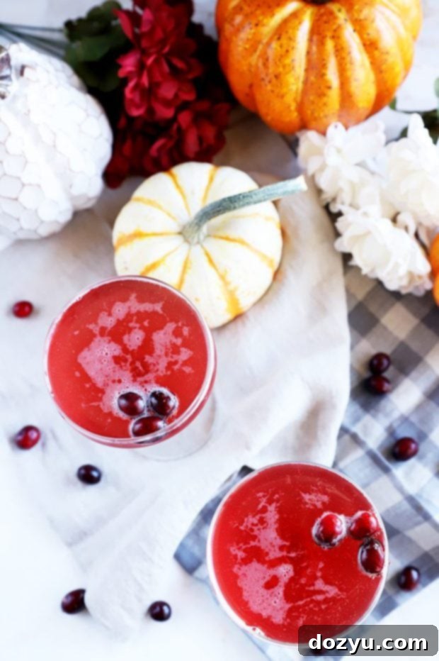 Effortless Autumn Fizz 6 Overhead picture of two sparkling Thanksgiving cocktails in elegant coupe glasses, garnished with cranberries, next to festive decorations.