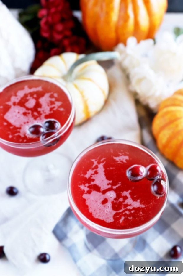 Effortless Autumn Fizz 7 Picture of cocktail with apple slices and cranberries in an elegant glass, set in a festive fall scene.