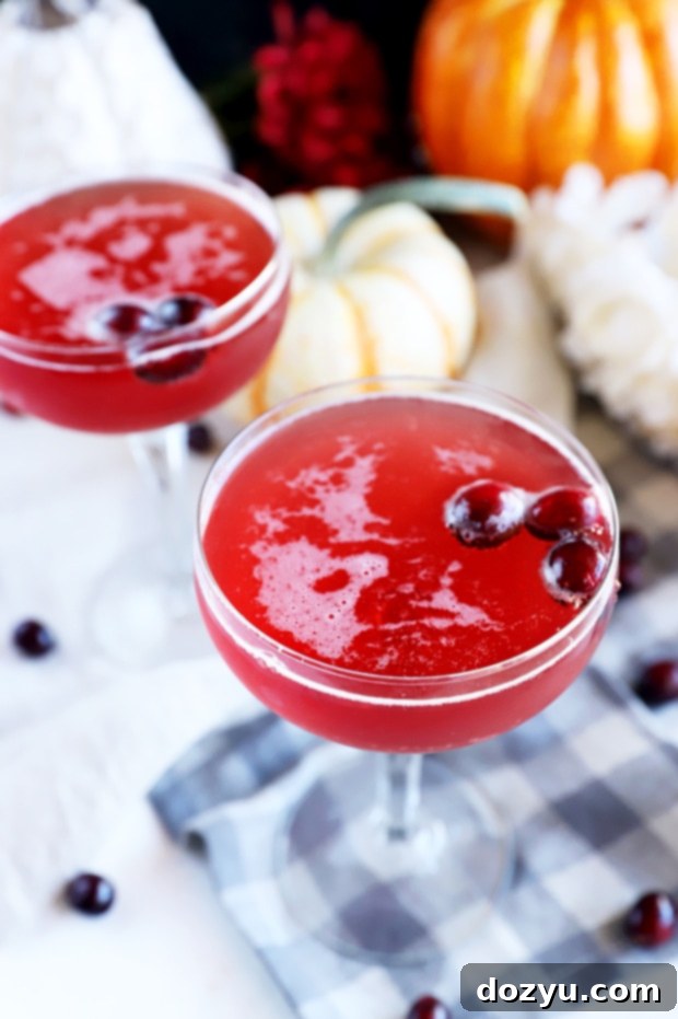 Effortless Autumn Fizz 9 Side view of a vibrant cranberry cocktail, beautifully garnished and ready for a Thanksgiving celebration.