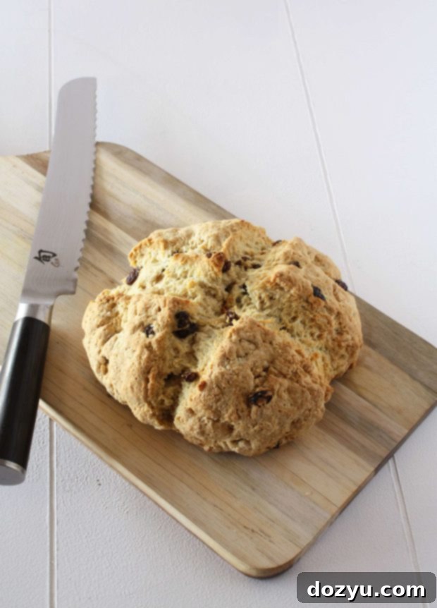 Savoring Ireland: Wholesome Ireland's Take on Traditional Soda Bread and Global Cuisine 2 Traditional Soda Bread with raisins, freshly baked and ready to be served, a simple and delicious Irish staple.