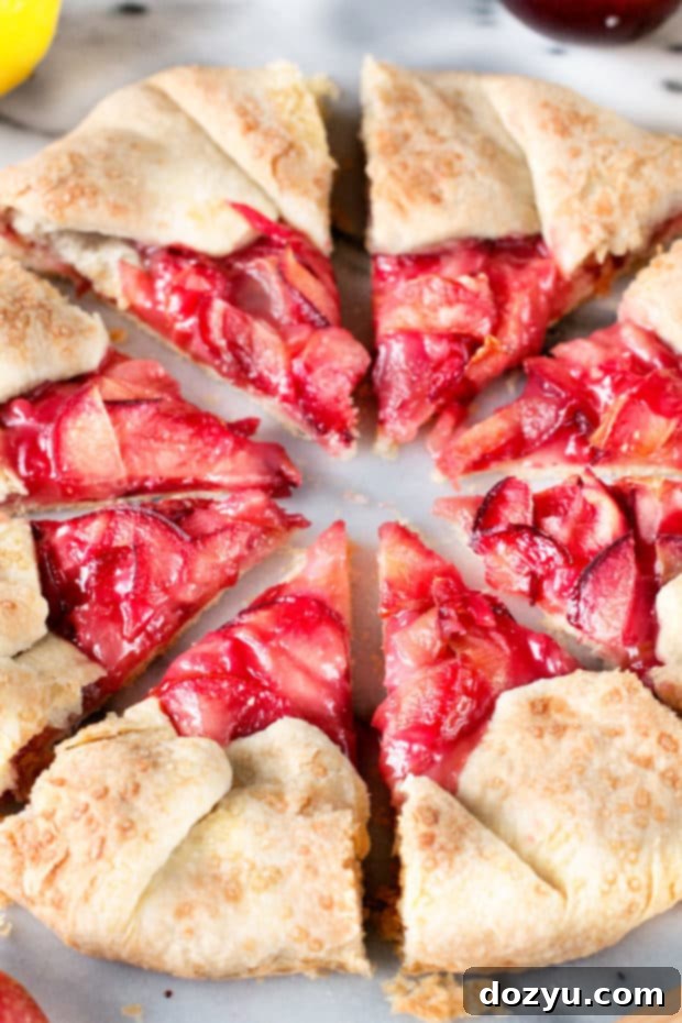 Rustic Pluot Lemon Galette - A beautifully baked, free-form pie with sliced pluots and a golden crust.