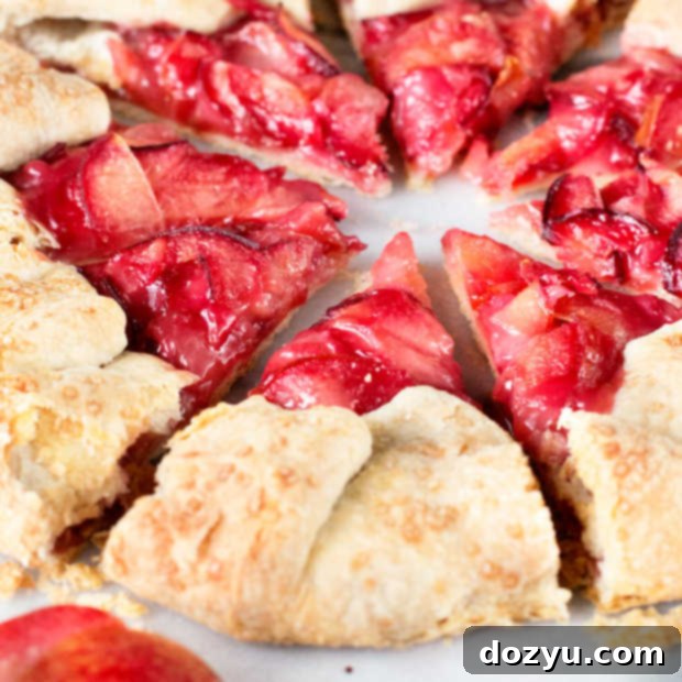 Rustic Pluot Lemon Galette | A perfect summer dessert with a flaky crust and juicy pluot filling.