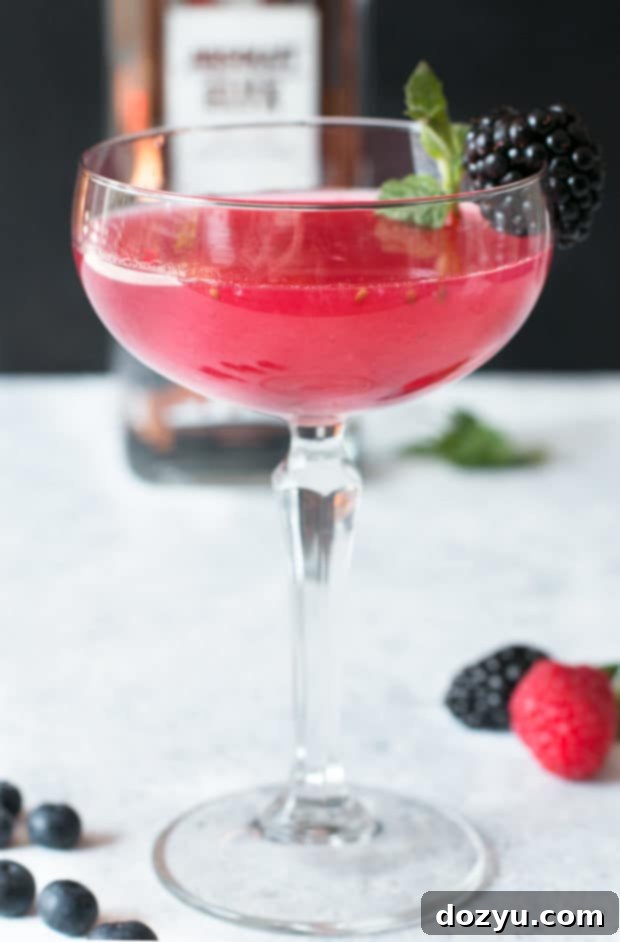 Absolut Elyx Wild Berry Vesper 5 Absolut Elyx Wild Berry Vesper | cakenknife.com #sponsored #cocktail #happyhour