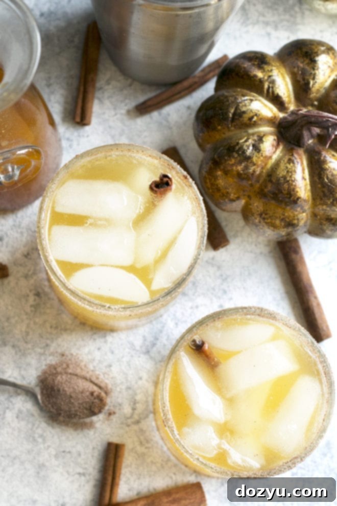 Overhead image of pumpkin cocktails