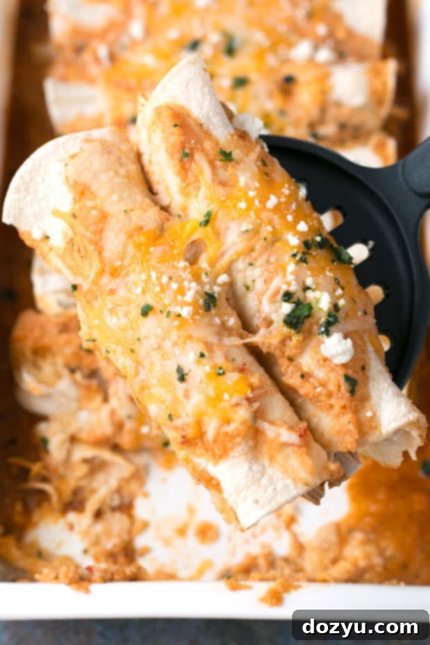 Fusion Curry Chicken Enchiladas 5 Individual Curry Chicken Enchilada, showing the rich, creamy sauce and melted cheese. #weeknightdinner #dinner #enchiladas #mexican #currysauce