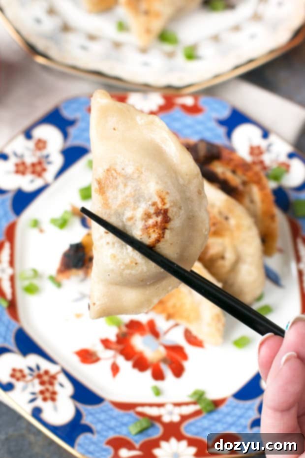 Crispy bottom Spicy Beef Dumplings alongside The Dumpling Galaxy Cookbook, perfect for learning homemade Asian recipes | cakenknife.com #dumplings #recipe #asian