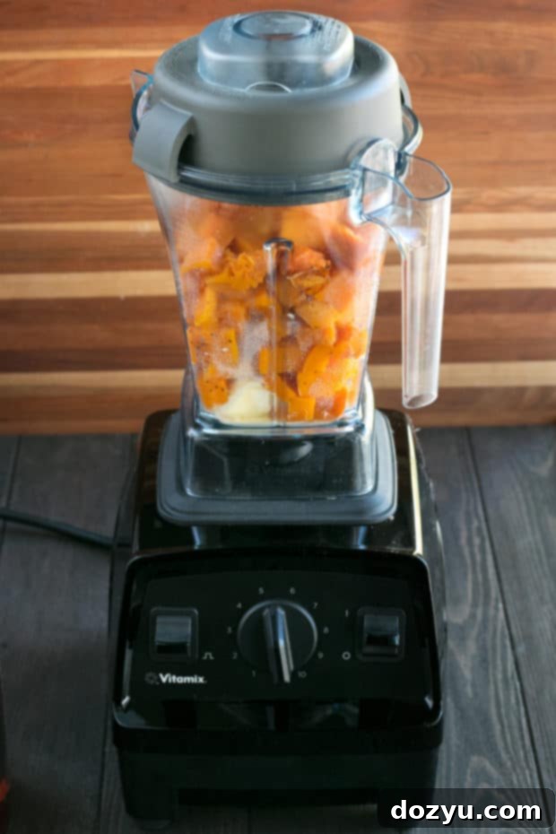 Vitamix E310 Explorian Blender on a kitchen counter