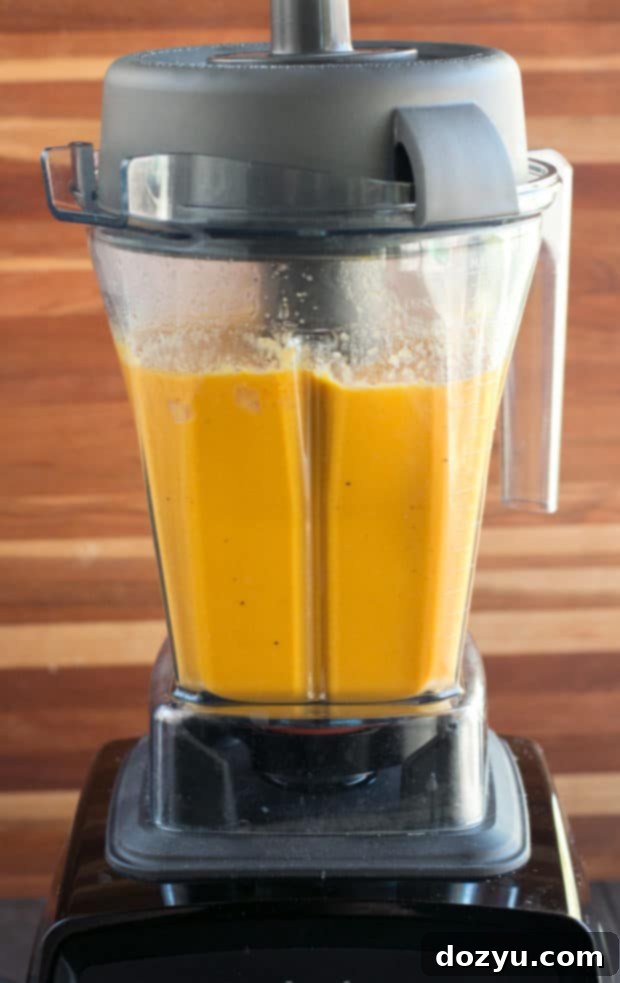 Vitamix E310 Explorian Blender with ingredients for soup