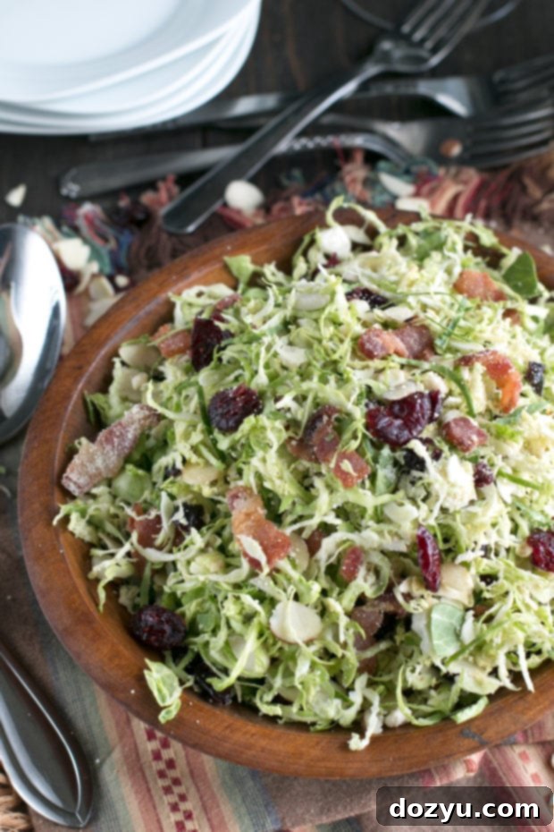 Bacon Cranberry Brussels Sprouts Slaw 2 Bacon Cranberry Shaved Brussels Sprouts Salad | cakenknife.com #salad #thanksgiving #sidedish #healthy