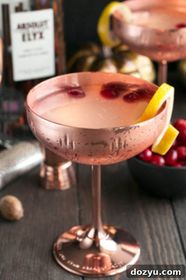 Absolut Elyx Ginger Martini with Drunken Cranberries | cakenknife.com #ad #cocktail #coppermakesitbetter #martini
