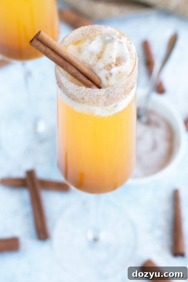 Spiced Pumpkin Mimosa 2 A beautifully garnished Pumpkin Pie Mimosa in a champagne flute, ready for a fall celebration or Thanksgiving brunch. Topped with whipped cream and pumpkin spice sugar.