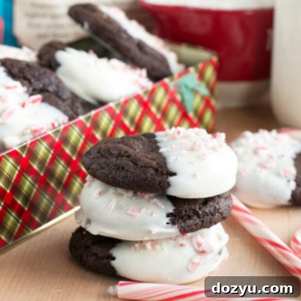 White Chocolate Enrobed Dark Chocolate Peppermint Cookies 11 White Chocolate Dipped Dark Chocolate Peppermint Cookies