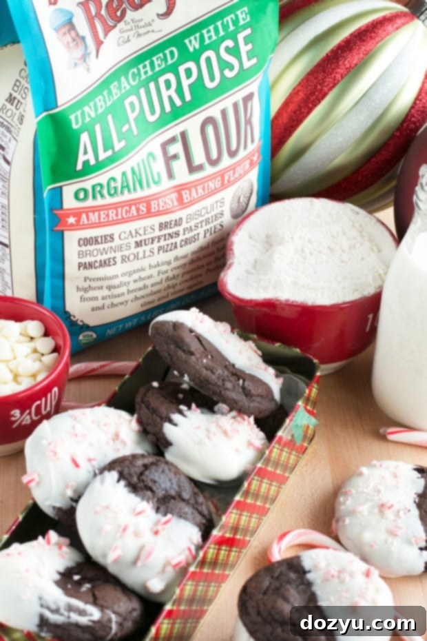 Ingredients for chewy dark chocolate peppermint cookies