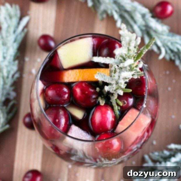 Red Christmas Single Serve Sangria | A delicious holiday cocktail recipe with red wine and festive fruits, garnished with sugared rosemary.