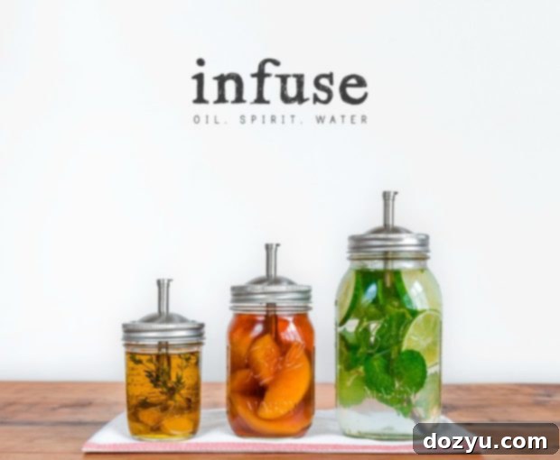 Infuse Cookbook cover image, inspiring creative infused recipes and drinks.