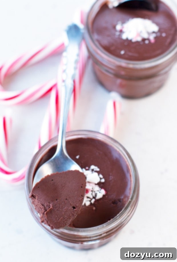 3-Ingredient Dark Chocolate Peppermint Mousse Recipe | A rich and easy 3-ingredient dark chocolate peppermint mousse, perfect for a decadent holiday dessert.