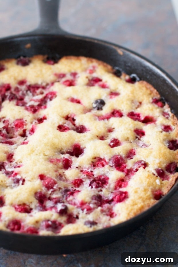 Christmas Cranberry Cobbler | A warm and comforting Christmas cranberry cobbler, perfect for holiday dessert.
