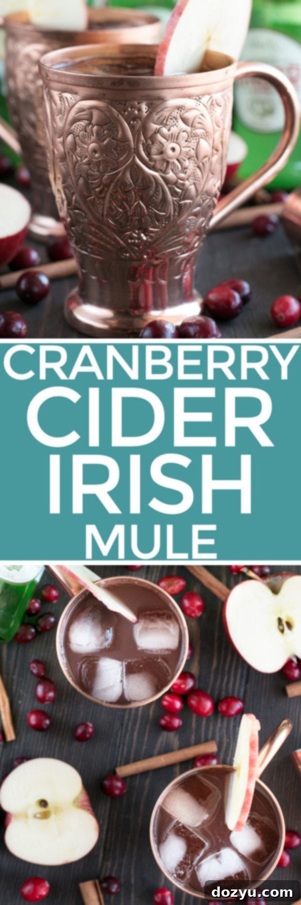 Spirited Cranberry Cider Irish Mule 10 Cranberry Cider Irish Mule recipe pin