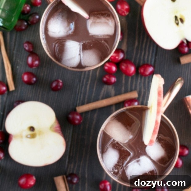 Spirited Cranberry Cider Irish Mule 11 Cranberry Cider Irish Mule cocktail in a copper mug with fresh cranberries and apple slices