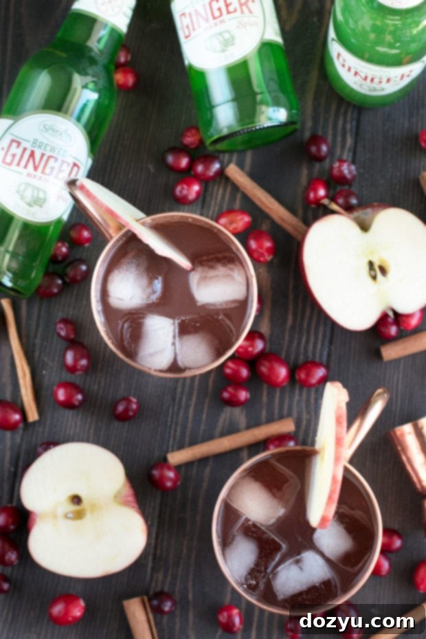 Spirited Cranberry Cider Irish Mule 3 Cranberry Cider Irish Mule ingredients in a mug