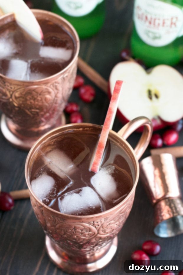 Spirited Cranberry Cider Irish Mule 4 Cranberry Cider Irish Mule garnished with cranberries and apple