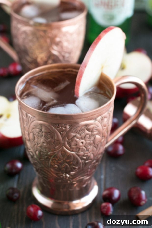 Spirited Cranberry Cider Irish Mule 5 Cranberry Cider Irish Mule close-up