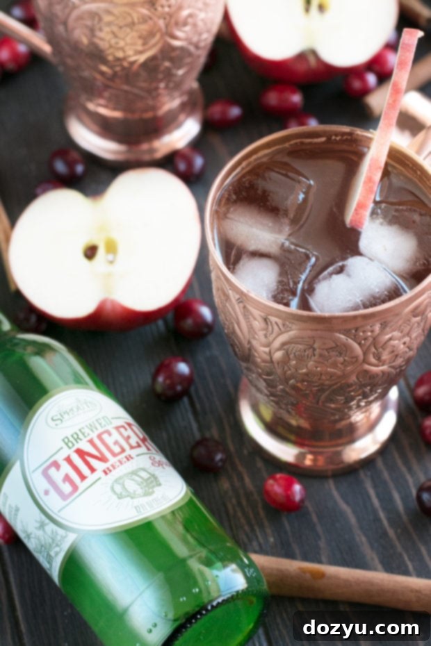 Spirited Cranberry Cider Irish Mule 7 Sprouts Ginger Beer bottle alongside a Cranberry Cider Irish Mule