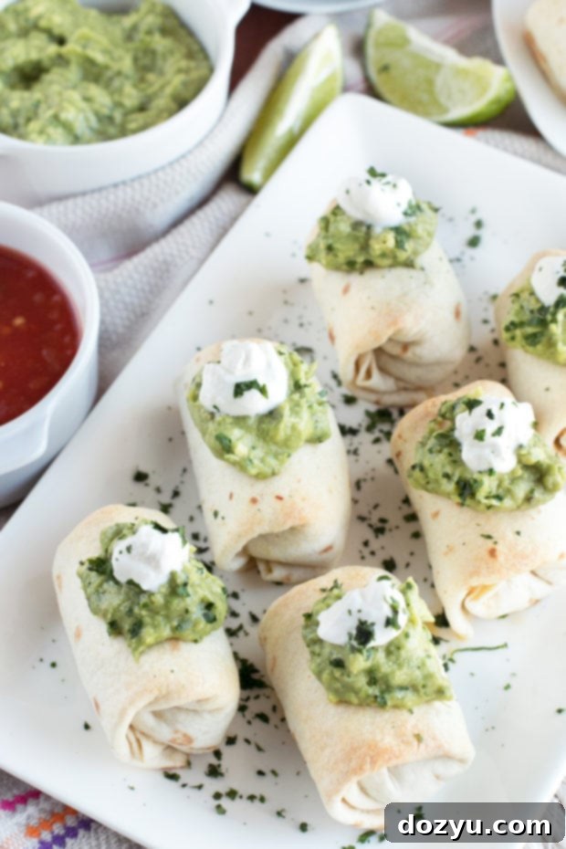 Golden Baked Chimichanga Bites with Spicy Avocado Dip 3 Close-up of a baked mini chimichanga cut in half, showing the chicken and poblano filling.