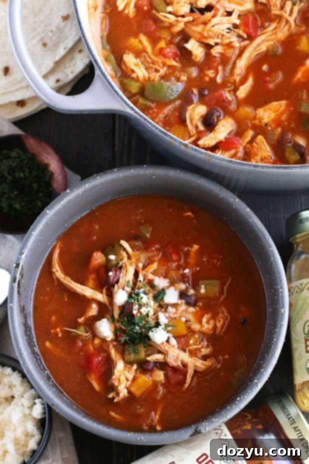 Hearty Red and Green Enchilada Soup in a bowl, garnished with cilantro and queso fresco.