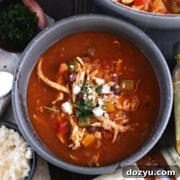 Hearty Red and Green Enchilada Soup 10 Red and Green Enchilada Soup, garnished and ready to serve.