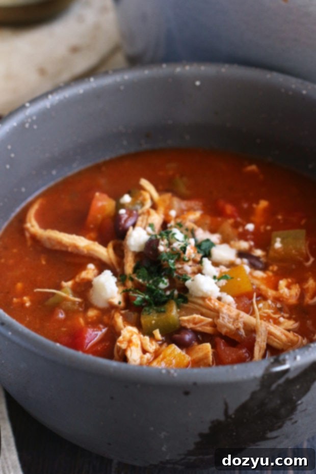 Red and Green Enchilada Soup garnished with fresh ingredients, ready to be served.