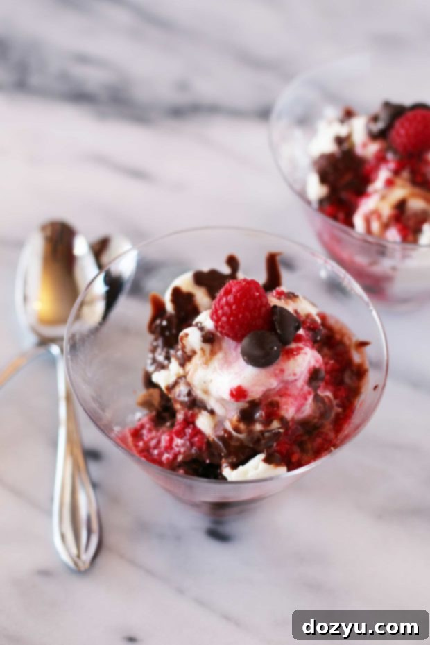 Sweet and Salty Raspberry Chocolate Brownie Sundaes 2 Decadent Raspberry Chocolate Salted Brownie Sundae with ice cream and sauces