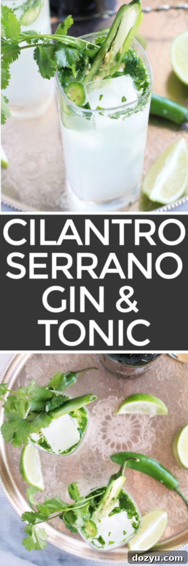 Pinterest graphic featuring Serrano Cilantro Gin and Tonic with recipe title