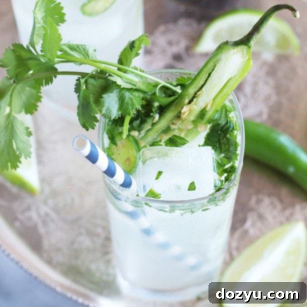Spicy Serrano Cilantro Gin and Tonic 9 Serrano Cilantro Gin and Tonic cocktail thumbnail