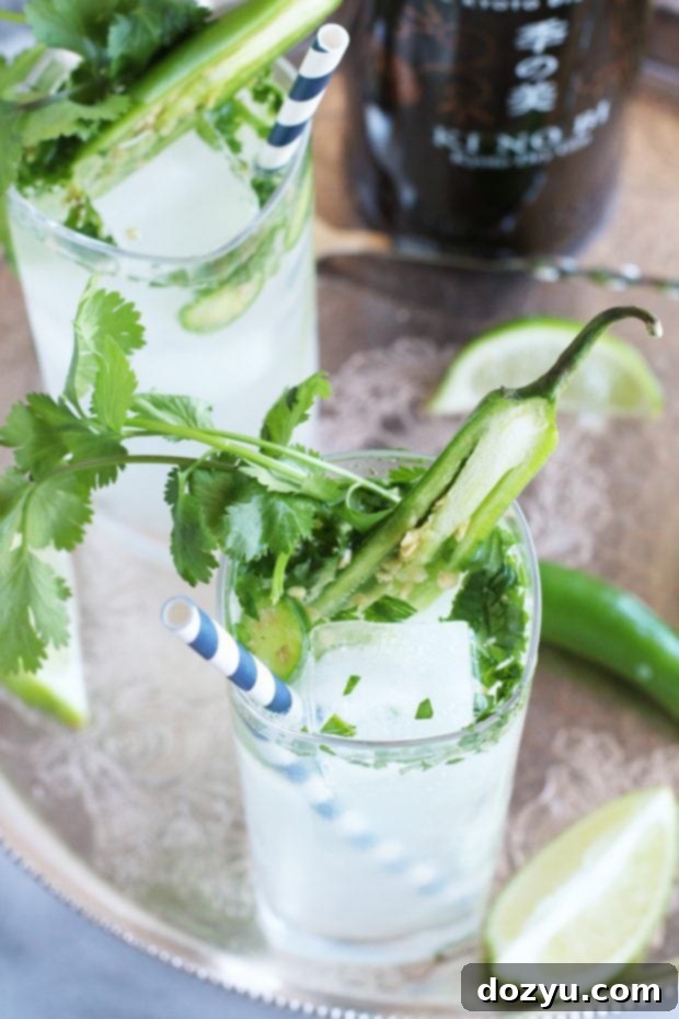 Serrano Cilantro Gin and Tonic in a highball glass, ready to drink