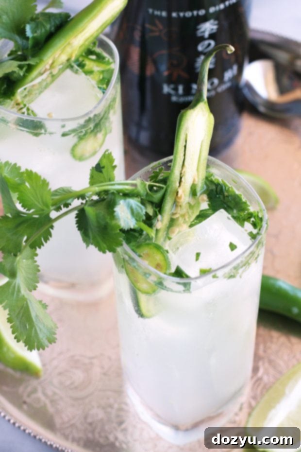 Ingredients for Serrano Cilantro Gin and Tonic laid out on a table