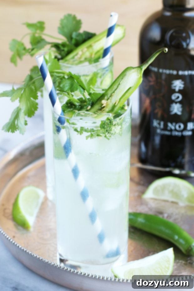 Serrano Cilantro Gin and Tonic garnished with cilantro and serrano slices