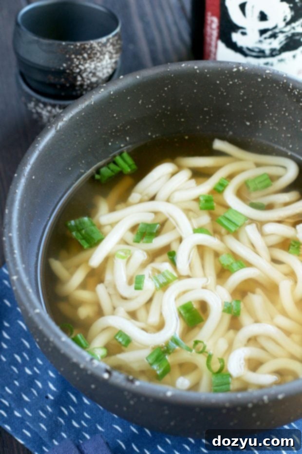 Warming Udon Soup with Crispy Vegetable Tempura 5 Vegetable Tempura Udon Soup