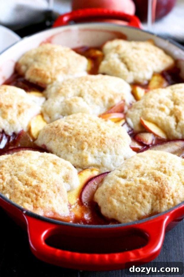 Peach Plum Cobbler, a delightful blend of stone fruits
